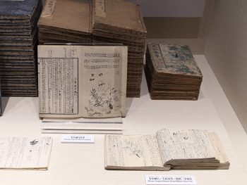 <strong>大和本草と本草綱目</strong><br>『大和本草』は、宝永7年(1709)貝原益軒の編纂。江戸時代の日本を代表する本草書であった。本来、本草学は薬用植物等を扱う学問であるが、『大和本草』は博物学へと広がりを見せた。 <br>李時珍の『本草綱目』は、１６世紀に成立した中国本草学の集大成である。日本での実地の生物観察をもとに独自の分類を試みたものが『大和本草』である。